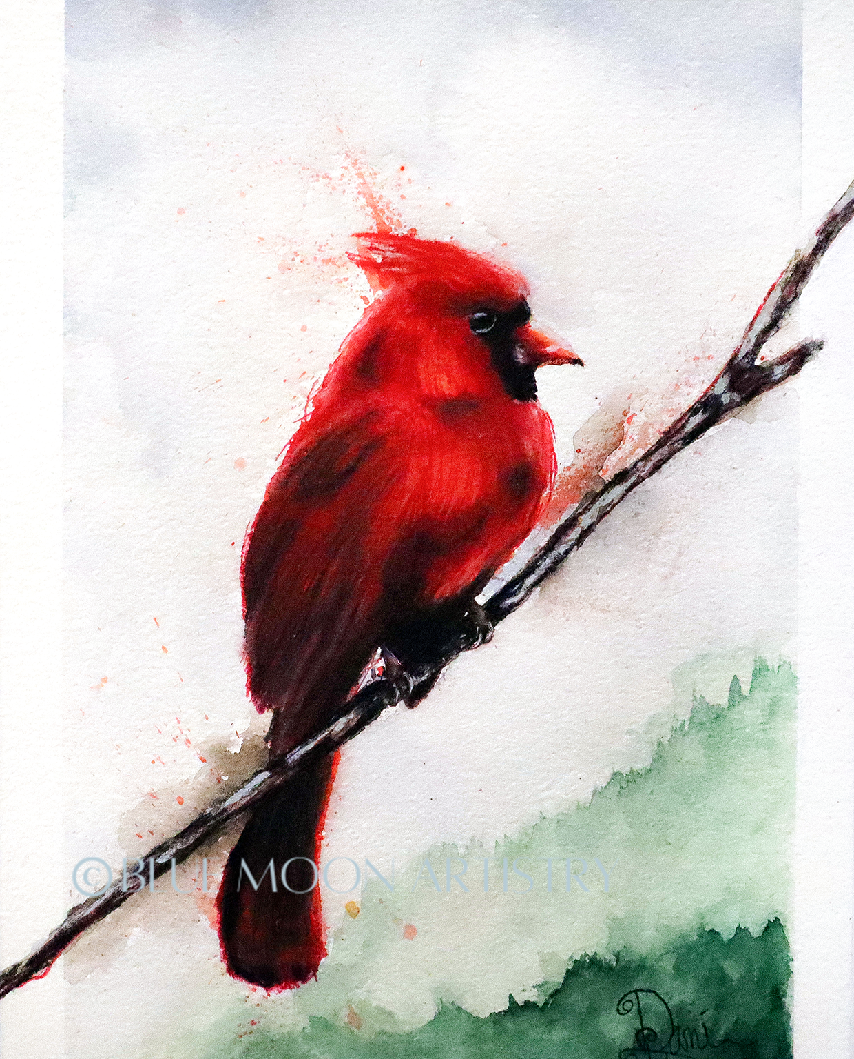 Winter Cardinal (SOLD)